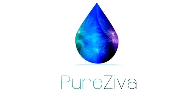 Pure Ziva Matte Chocolate Truffle Brown Cake Eyeliner & Pressed Eyeshadow, Water Activated Powder; Gluten & Cruelty Free