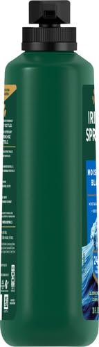Irish Spring Mens Body Wash, Moisture Blast Body Wash for Men, Feel Fresh All Day, 30 Oz Pump Bottle (Pack of 2)