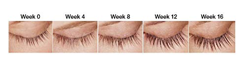 Dermaworks SPECTACULASH Lash Serum 3 ml | Eyelash Growth Serum for Eyelash Growth & Thickness | Free of Prostaglandin, Safe for Sensitive Eyes | Peptide Formula Long Lashes | Results in 60 Days