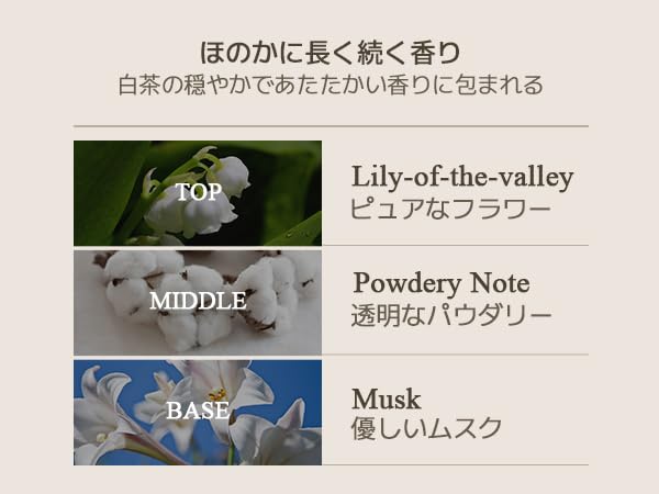 TEABLESS Perfumed Body Lotion lily Musk White Tea, Daily Moisturizer for Dry Skin & Sensitive Skin, Non-Greasy, Korean Skin Care 16.93oz