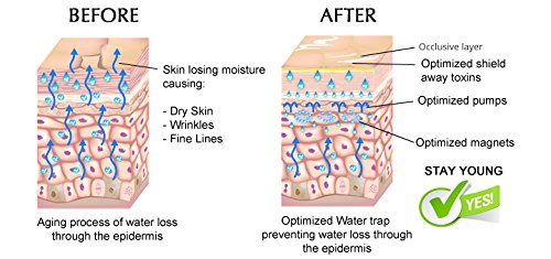 Anti Aging Lightweight Hydrating Mist For Hair, Face, Skin, Vitamin C Toner + Hyaluronic Acid serum, Maximum Clinical Strength made by a Stanford Ph.D Doctor!