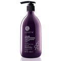 Luseta Purple Shampoo for Women - Blonde, Grey, Color Treated, Curly and Damaged Hair - 16.9oz, Sulfate & Paraben Free