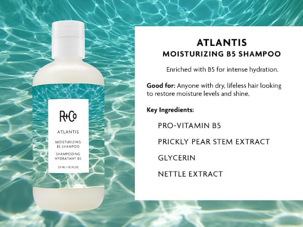 R+Co Atlantis Moisturizing B5 Shampoo and Conditioner Set – Deep Hydration & Repair for Dry, Damaged, Tired Hair – Restores Moisture, Softness & Shine – Vegan & Sulfate-Free – 8.5oz 2PK + Sample