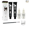 Professional Kalentin Eyebrow Color 2-Pack Plus 2-Developers (Brown)