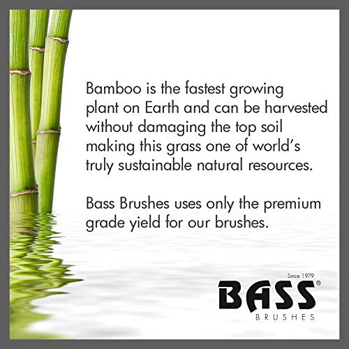 Bass Brushes, Half Round Style Brush