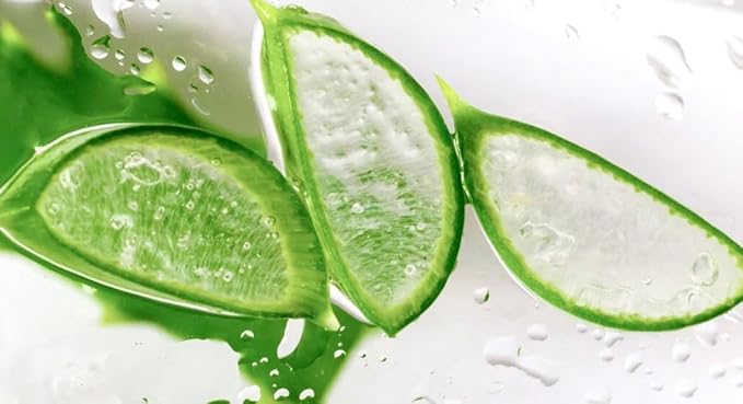 Dermasil Body Lotion, Fresh Aloe, 2-Pack – Non-Greasy, Fast-Absorbing, Fresh Scent, 8 Oz Ea