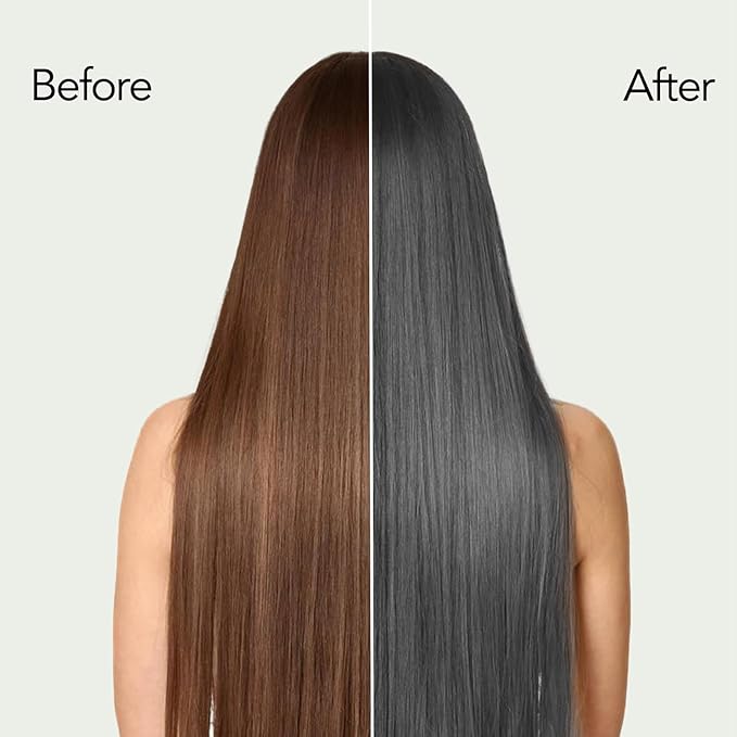 Silver Hair Dye 3 in 1, Argan Oil Silver Gray Hair Dye Shampoo for Men & Women, Instant Hair Shampoo for Color Treated Hair, Easy to Use, Shampoo Para Canas for All Hair Types, 16.9 FlOz (Silver gray)
