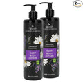 Nature's Beauty Lavender Chamomile Sleep Body Lotion, Lightweight Moisturizer for Dry Skin, with Shea Butter, Jojoba, Coconut & Moringa Oils, 16 fl oz (2-Pack)