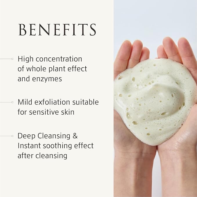 YUNJAC Whole Plant Daily Foam & Exfoliant (2.82 oz) – Matcha Facial Cleanser, Gentle Enzyme Foam, Suitable for Sensitive Skin, Korean Skincare, Rich Lather, Makeup Remover
