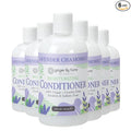 Ginger Lily Farms Botanicals Moisturizing Conditioner for Dry Hair, 100% Vegan & Cruelty-Free, Lavender Chamomile Scent, 12 Fl Oz (Pack of 6)