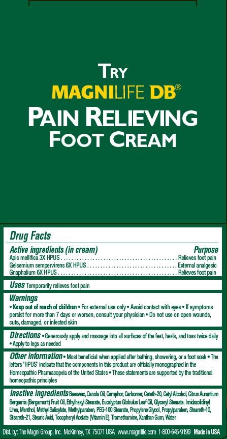 MagniLife DB Pain Relieving Foot Cream, 4 Oz Jar, Calming Relief for Burning, Tingling, Shooting & Stabbing in Feet & Legs, Moisturizing & Hydrating Foot Cream Suitable for Diabetic & Sensitive Skin