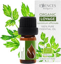 Essences Bulgaria Organic Lovage Essential Oil 1/6 Fl Oz | 5ml | Levisticum officinale | 100% Pure and Natural | Undiluted | Therapeutic Grade | Family Owned Farm | Steam-Distilled | Non-GMO | Vegan