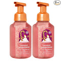 Bath & Body Works, Gentle Foaming Hand Soap, Twisted Peppermint (2-Pack)