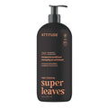 ATTITUDE Men's Shampoo and Conditioner 2-in-1, Nourishing For Dry Hair and Scalp, With Panthenol and Ginseng, 97% Natural Origin Ingredients, EWG Verified, Patchouli & Bourbon, 32 Fl Oz
