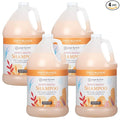 Ginger Lily Farms Botanicals Moisturizing Shampoo for All Hair Types, Coco Mango, 100% Vegan & Cruelty-Free, Coconut Mango Scent, 1 Gallon Refill (Pack of 4)