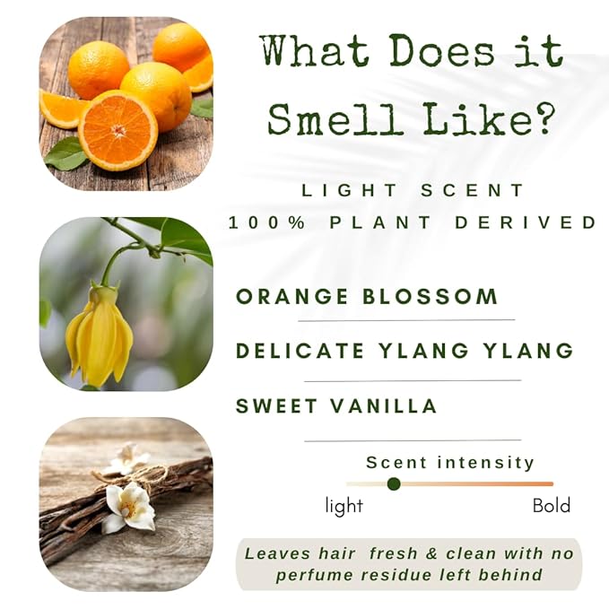 Conditioner Bars Detangle, Strengthen & Moisturize | Paraben Free & Sulfate Free | Travel Essentials | Vegan | Made In USA (Orange)