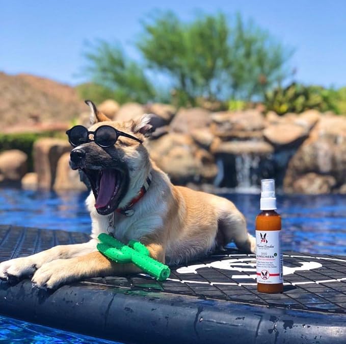 Warren London Dog Sunscreen Spray – 2-Pack (2 × 4 oz) UV Shield with Aloe | Quick-Dry, Non-Greasy, Sunblock for Nose, Ears & Coat | Prevents Sunburn & Itch | Save 18% vs. Single | Made in USA