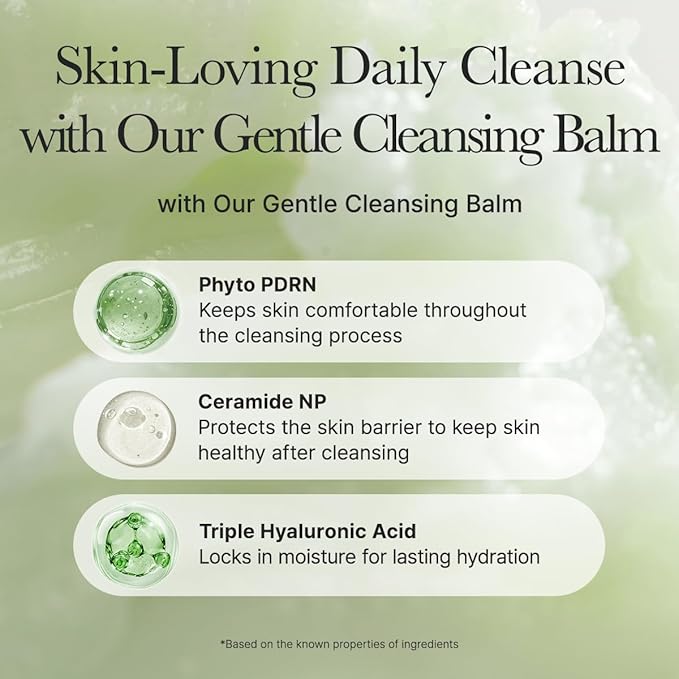 ARENCIA Pore Melt Phyto PDRN Cleansing Balm, Makeup Removing & Pore Care Cleanser with PDRN, Ceramide, Hyaluronic Acid, 90ml / 3.04 fl. oz.