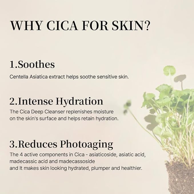 mixsoon Soondy Centella Asiatica Essence-Soothing and Calming for Face, Jeju Island Cica Extracts and Hydrating Formula for Balanced Skin 30ml / 1.01 fl.oz. Korean Glass Skin Care