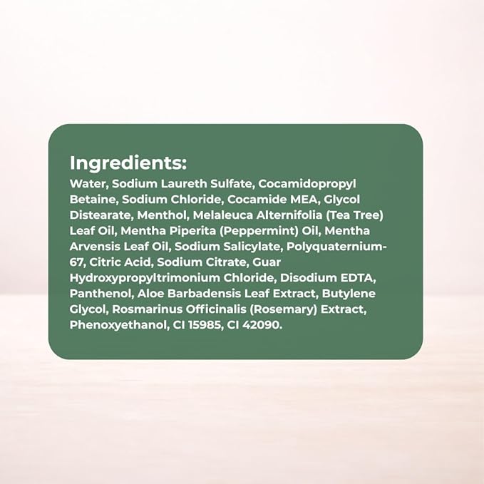 Daeng Gi Meo Ri Tea Tree Cool Shampoo | Cooling Scalp Care with Tea Tree & Aloe Vera | Refreshes Oily Hair, Hydrates Dry Hair, Gentle Cleansing | 1000ml
