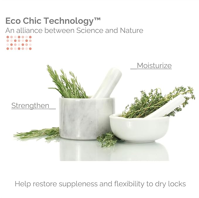GIOVANNI ECO CHIC 50:50 Balanced Hydrating Clarifying Shampoo - Leaves Hair pH Balanced for Over-Processed Hair, Provides Moisture & Protection, Salon Quality, No Parabens, Color Safe - 128 oz