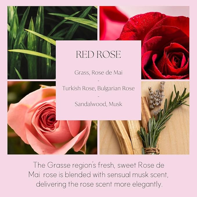 396 st. Dahlia Flower Reed Diffuser, White Musk, 200ml(6.7oz) / Reed Diffuser Sets, Home Fragrance, Scented Oils, Home & Bathroom Décor