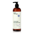Plant Therapy Lavender Sandalwood Natural Body Wash 16 oz For all Skin Types, Sulfate Free Body Wash, For Men or Women, Relaxing All-Natural Aroma, Lush, Hydrating Lather, Cleanses & Soothes Skin