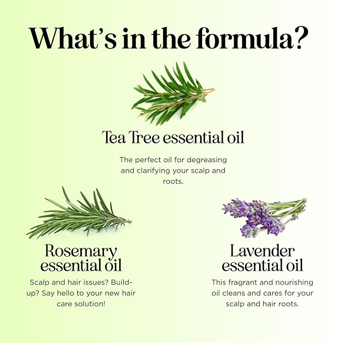 Clarifying Shampoo for Build Up & Oily Hair - Tea Tree Shampoo for Men and Women with Rosemary Essential Oil for Oily Hair and Scalp - Color Safe Vegan Sulfate Silicone & Paraben Free (12 Fl Oz)