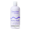 Function of Beauty Wavy Hair Conditioner - Sulfate-Free Conditioner for Natural Wavy Texture - Lightweight, Anti-Frizz, Strengthening & Hydrating with Argan Oil - Hair Care Products