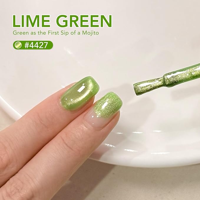 GAOY Green Glassy Cat Eye Gel Nail Polish, 16ml Holographic Gel Polish with Magnet, Reflective Translucent UV Light Cure, 4427 Lime Green