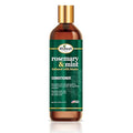 Difeel Elevated Rosemary Mint Hair Conditioner with Biotin 12 oz. - Made with Natural Rosemary & Mint to Strengthen Dry, Damaged Hair, Promote Growth, Smooth Split Ends & Moisturize Dry Scalp