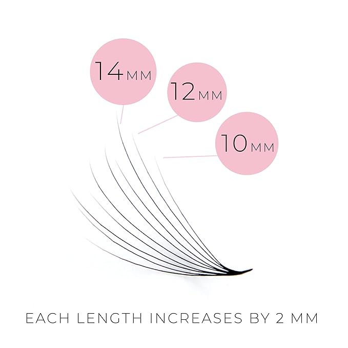 One V Salon Pro 8D Camellia Promade Loose Fans, 500 Premade Layered Volume Lash Fans | D Curl | 0.07 mm | 11-13-15 mm Mixed in Each Fan | Thin Base, Hand-Crafted Eyelash Extensions (8D-D-Curl)