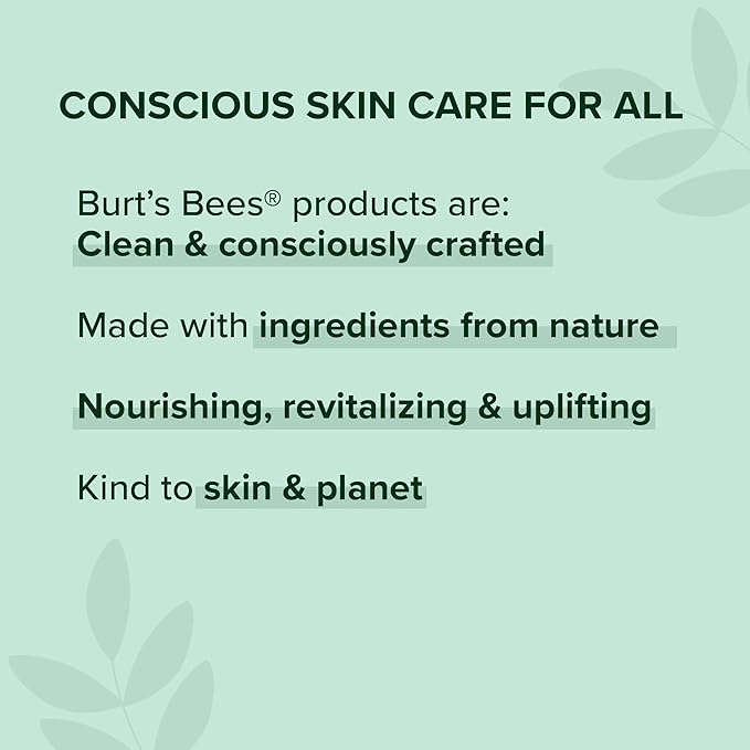 Burt's Bees Medicated Lip Balm, With Eucalyptus Oil and Menthol, Tint-Free, Natural Origin Lip Care, 4 Tubes, 0.15 oz. (Pack of 12)