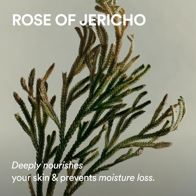 Abib Jericho Rose PHA Toner 6.76 fl oz / 200 ml, Rose of Jericho Extract for Skin Elasticity and Texture