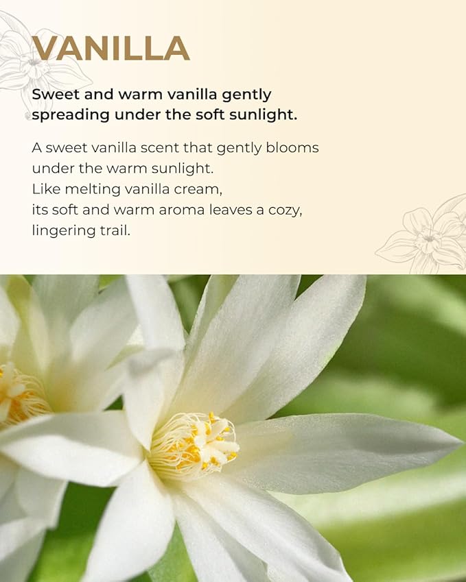 BOM Chiffon Vanilla Body Mist 3.71 Fl Oz, Vanilla Scented Fine Mist with Hyaluronic Acid, Niacinamide & Vitamin C, Hydrating, Lightweight, Korean Skincare