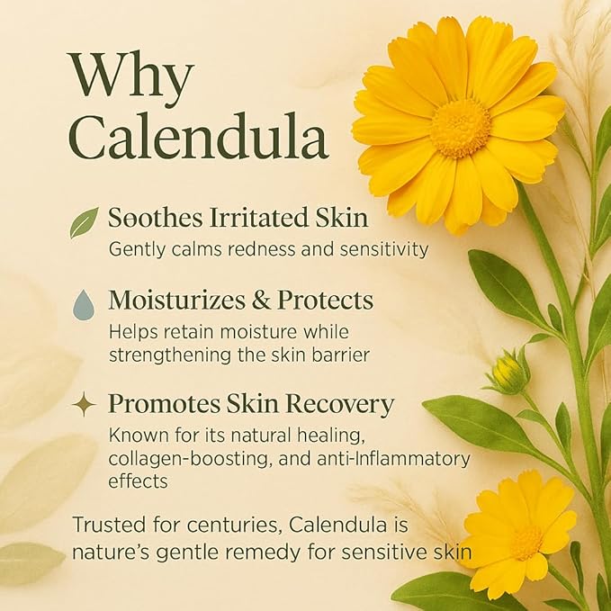 Calendula Essence – Popular Korean Soothing Serum with 200,000ppm Calendula, Fragrance-Free, Hydration & Anti-Aging Care for Sensitive Skin