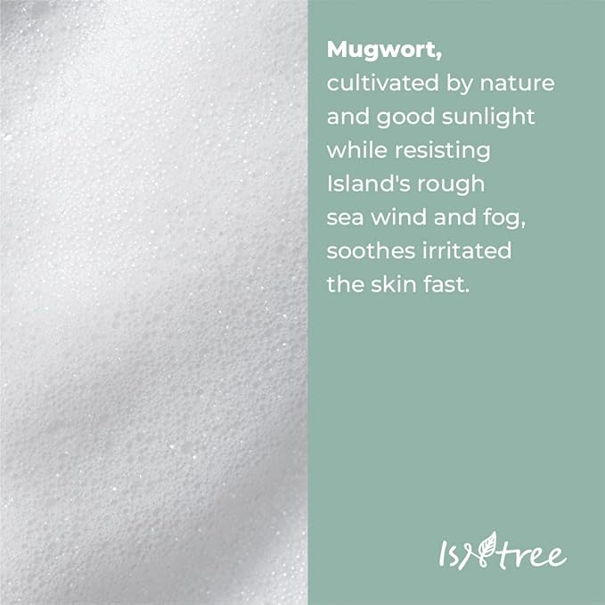 ISNTREE Mugwort powder wash 1g 0.03oz x 25ea | Mild peeling | Enzyme bubble cleanser | Soothes sensitive skin