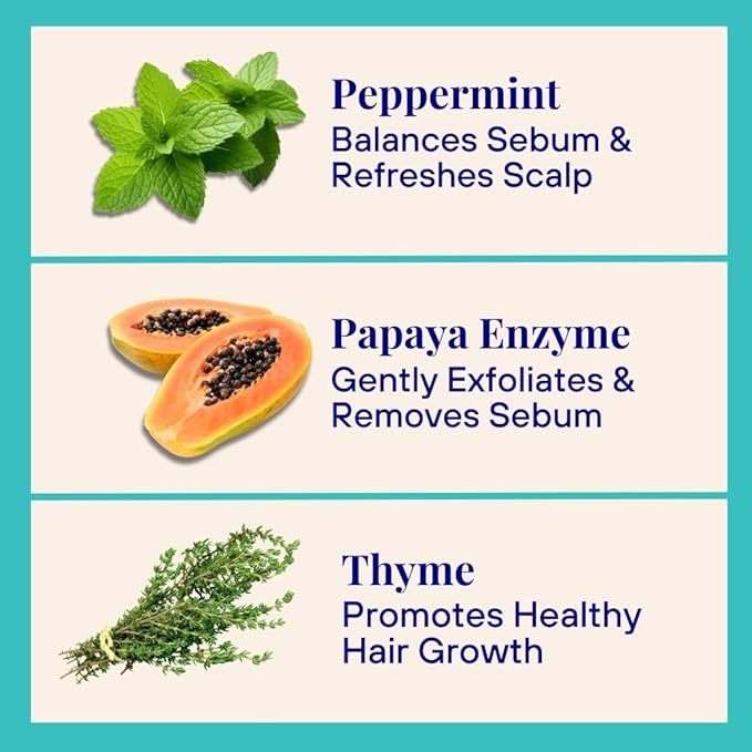 The Powder Shampoo - Powder Shampoo Aluminum Bottle Purifying & Regulating Shampoo (Thyme & Peppermint) - 2.47 oz