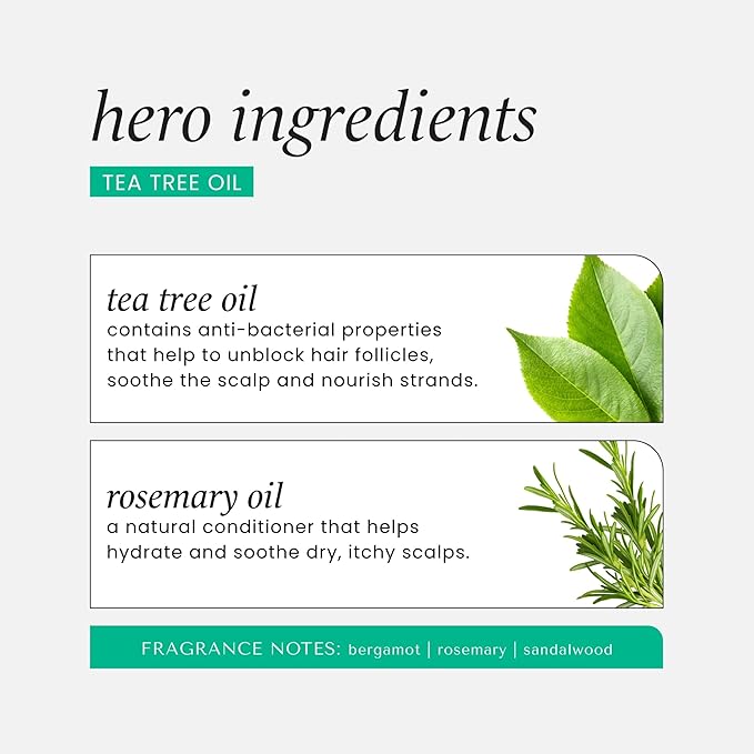 HASK Tea Tree & Rosemary Oil Scalp Care Conditioner - 12 fl oz