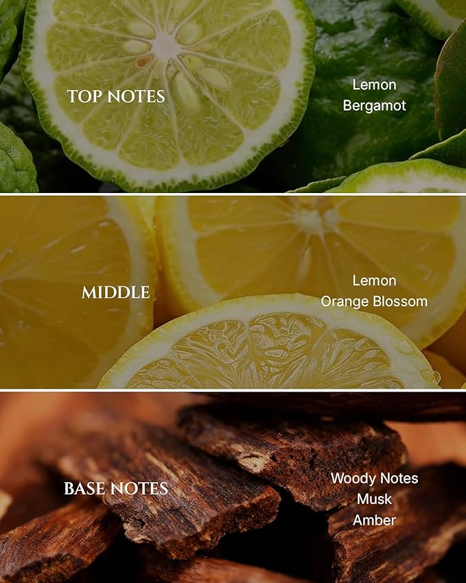 Aromadd Citrus Hotel Diffuser Oil Inspired by Luxury Hotel Scent, Essential Oils for Waterless Diffuser, Luxury Lemon & Bergamot, Long-Lasting & Natural Home Fragrance - 6.76 fl oz (200 mL)