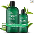 Botanic Hearth Tea Tree Shampoo 8Fl Oz And Conditioner 4 Fl Oz | With 100% Pure Tea Tree Oil, For Itchy And Dry Scalp, Sulfate/Paraben Free | For Men And Women