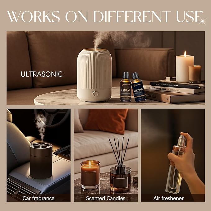 Cabana Hotel Diffuser Oil | Aromatherapy Fragrances Inspired by 5-Star Hotels | Luxurious Scents, Premium Fragrance Oil Blend for Waterless Diffusers and Crafting - 100ml, 3.38 fl oz