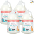 Ginger Lily Farms Botanicals Moisturizing Shampoo for All Hair Types, 100% Vegan & Cruelty-Free, Apple Pear Scent, 1 Gallon (Pack of 4)
