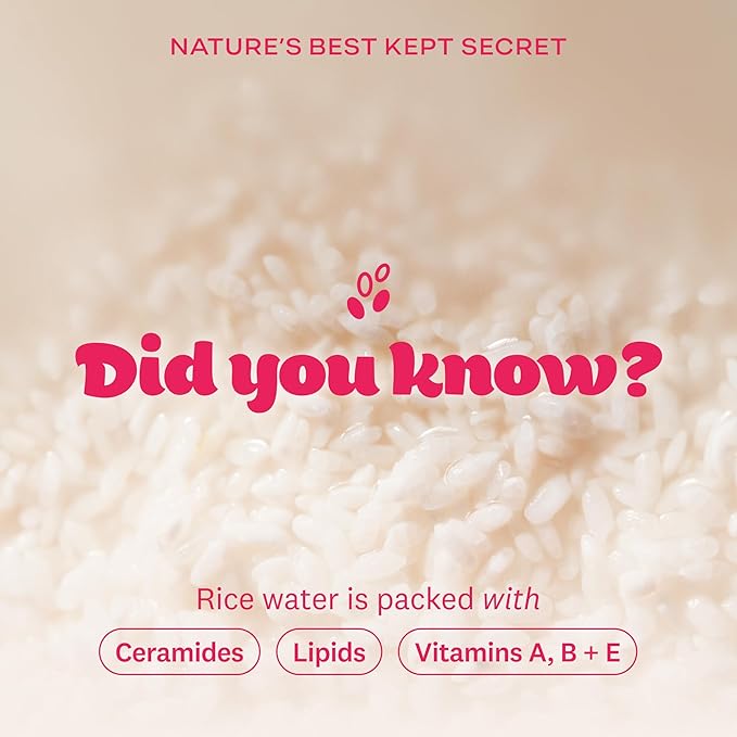The Face Shop Rice Water Bright Foaming Cleanser, Hydrating Korean Face Wash with Ceramides, Deep Pore Cleansing, All Skin Types, Gentle Skincare, Vegan, 10.1 fl. oz. (Pack of 2)