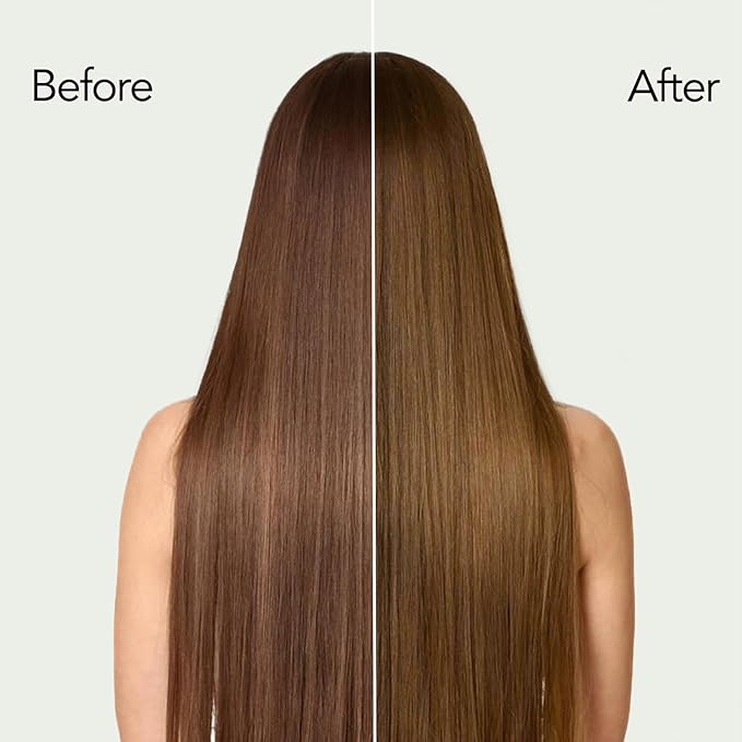 Chestnut Brown Hair Dye Shampoo with Argan Oil for Men & Women, 3 in 1 Semi-Permanent Hair Dye for Shampoo Color Treated Hair, Easy to Use, Shampoo Para Canas,16.9 Fl oz (Chestnut Brown)