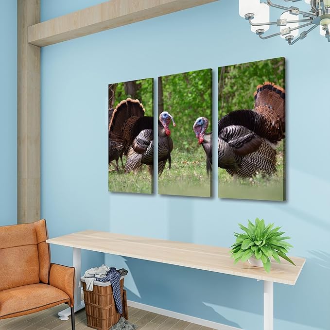 3 Piece Canvas Wall Art Prints Picture two male wild turkeys full tail feathers two female turkeys Framed Wall Painting Modern Artwork Poster Home Decor for Living Room Office Ready to Hang