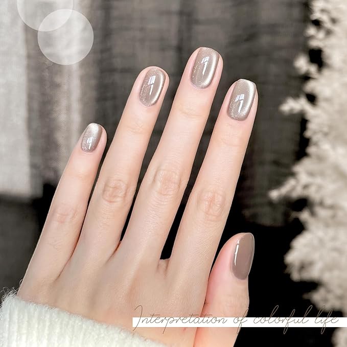 GAOY Glassy Cat Eye Gel Nail Polish, 16ml Glitter Holographic Nail Polish with Magnet, Reflective Translucent UV Gel, 2059 Silver Gray