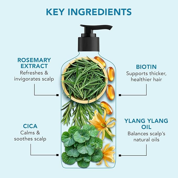Botanic Hearth Rosemary Shampoo Infused With Cica, Ylang Ylang Oil & Biotin Oil – Clarifying Shampoo For Hair Volume, Growth & Strength | Paraben & Sulfate Free | For All Hair Types, 16 Fl Oz