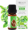 Essences Bulgaria Organic Basil Essential Oil 1/3 Fl Oz | 10ml | Ocimum basilicum | 100% Pure and Natural | Undiluted | Therapeutic Grade | Family Owned Farm | Steam-Distilled | Non-GMO | Vegan