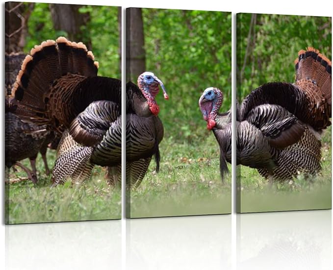 3 Piece Canvas Wall Art Prints Picture two male wild turkeys full tail feathers two female turkeys Framed Wall Painting Modern Artwork Poster Home Decor for Living Room Office Ready to Hang